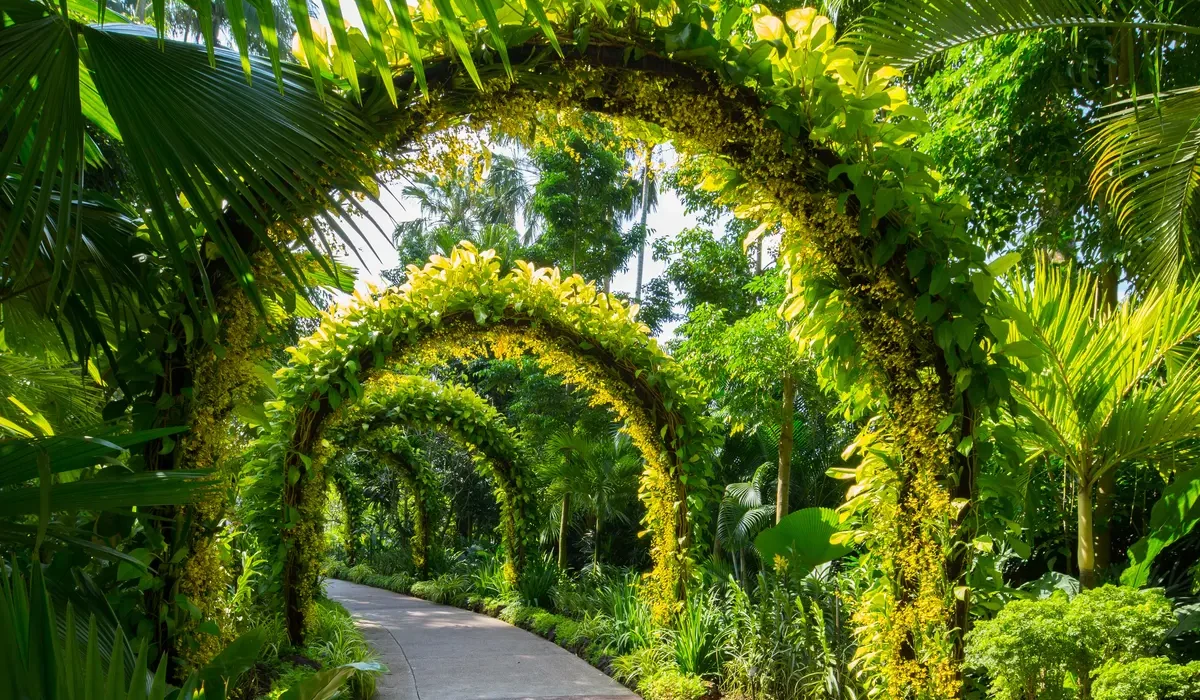 Botanical Gardens: Know All About It